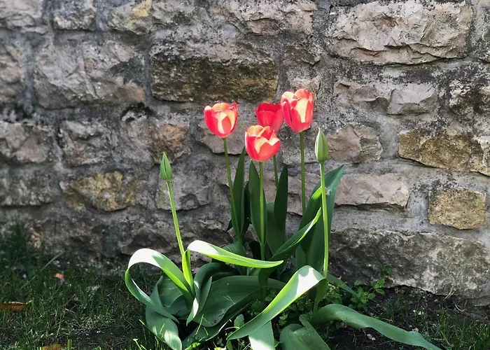 דירה House Pécsely